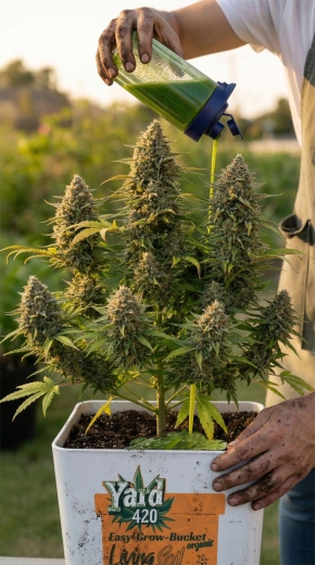 Grow Bucket Living Soil organic